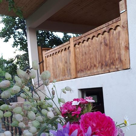 Irina'S Guesthouse Mestia Exterior foto